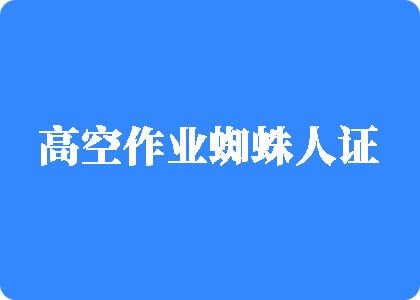 欧美屌插进屄视频高空作业蜘蛛人证